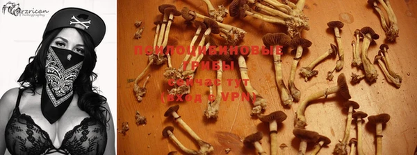 индика Абдулино