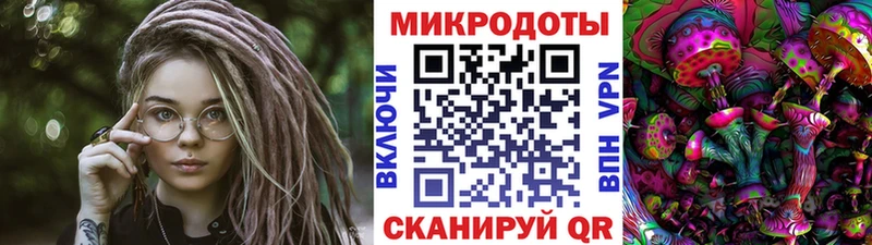 хочу наркоту  Тырныауз  Псилоцибиновые грибы Psilocybine cubensis 