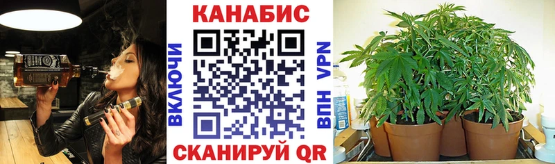 наркота  Тырныауз  mega рабочий сайт  Бошки Шишки SATIVA & INDICA 